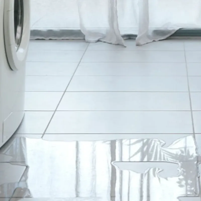 Appliance Leak Cleanup in Lewisville, WA