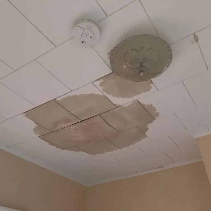 Ceiling Water Damage Repair in Lewisville, WA