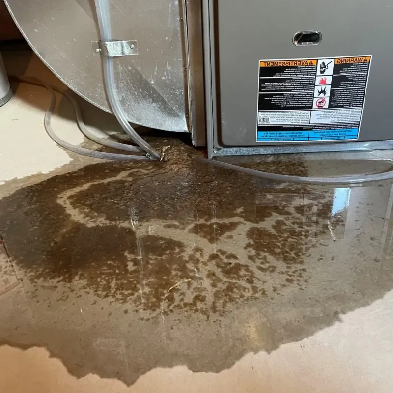 Pipe Burst and Leak Restoration in Lewisville, WA