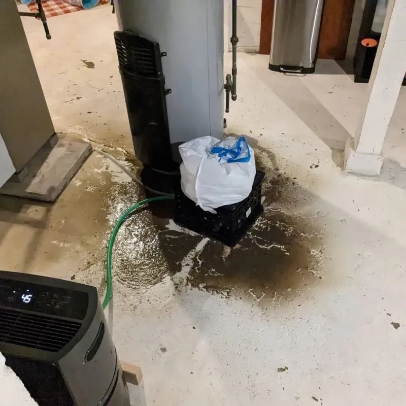 Sewage Backup Cleanup Service in Lewisville, WA